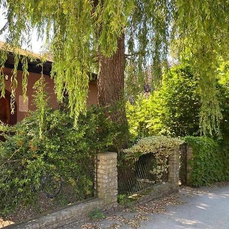 Gartenwohnung 5 Min. Zur Stadt Hagenau المظهر الخارجي الصورة