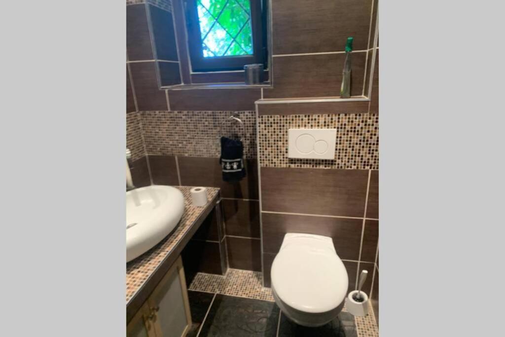 Gartenwohnung 5 Min. Zur Stadt Hagenau المظهر الخارجي الصورة