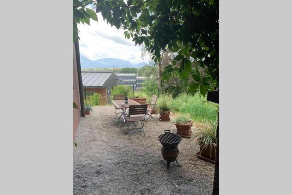 Gartenwohnung 5 Min. Zur Stadt Hagenau المظهر الخارجي الصورة